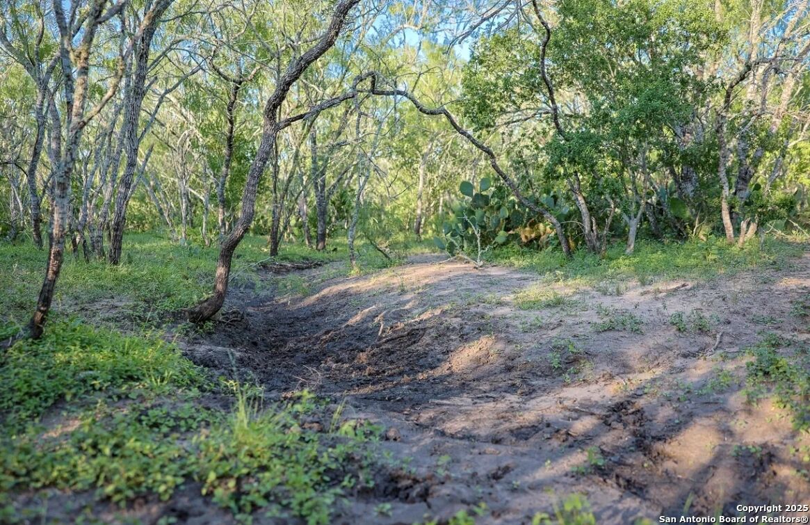 Property Photo:  000 County Line Rd # 120  TX 78102 