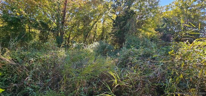 Property Photo: 000000 E 1030 Road OK 74955