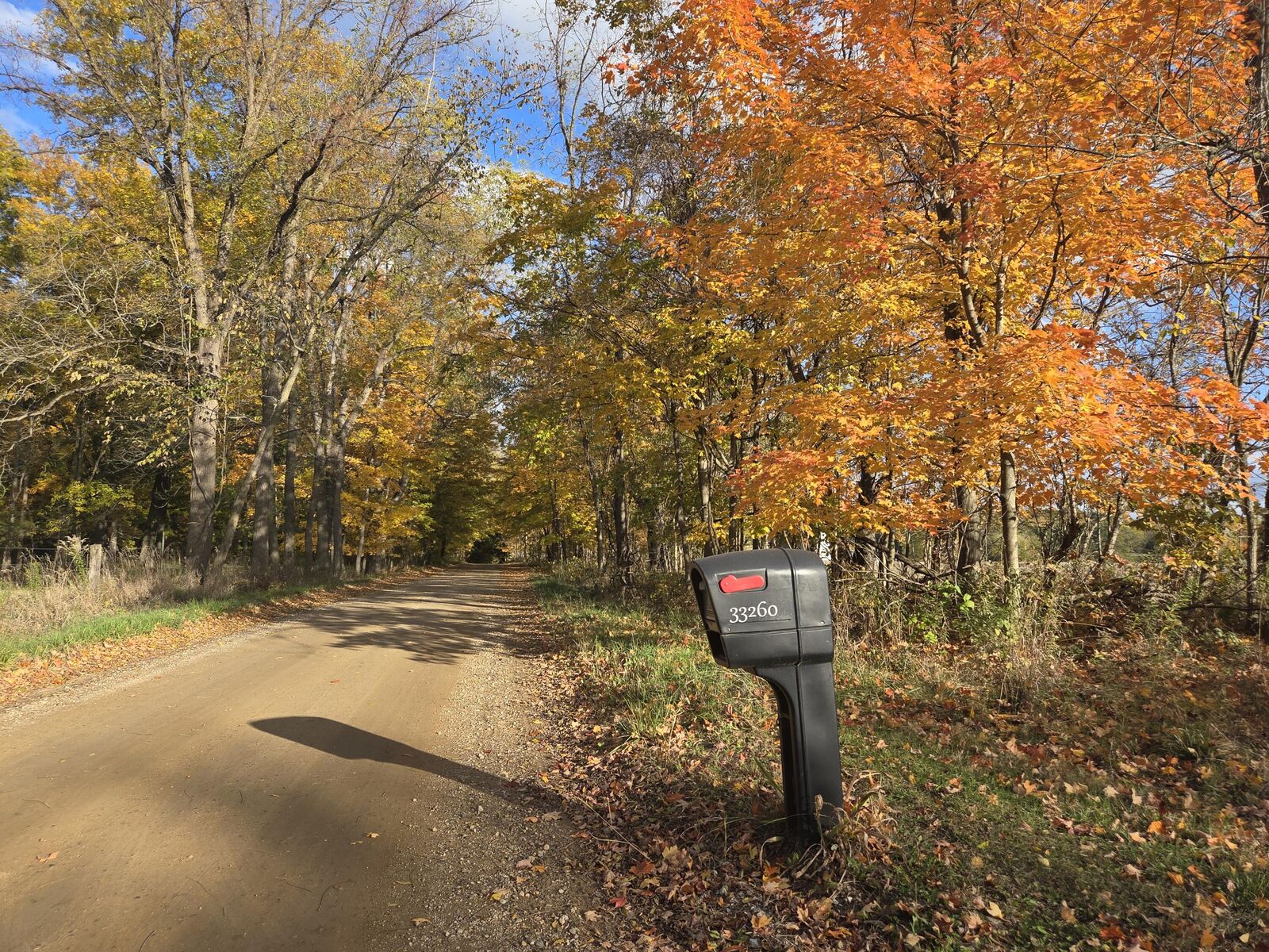 Property Photo:  33260 State Line Road  IN 46552 