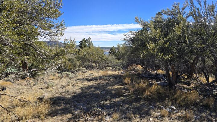 Property Photo:  386 N Elk Dr  UT 84759 