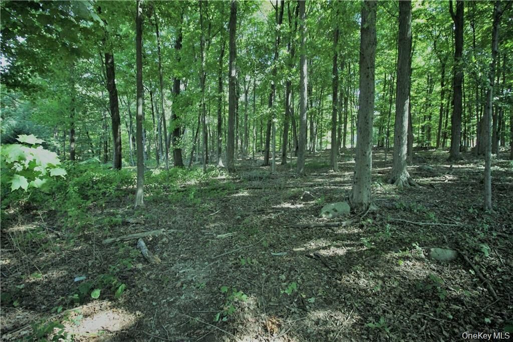 Property Photo: 58-62 Walmer Lane NY 10516