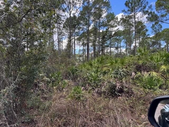 Property Photo: 12th Avenue FL 32724