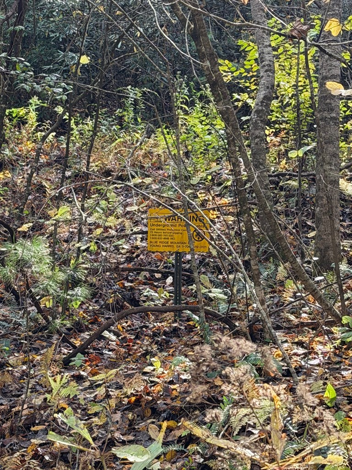 Property Photo:  46/51 Big Secret Ln  NC 28906 