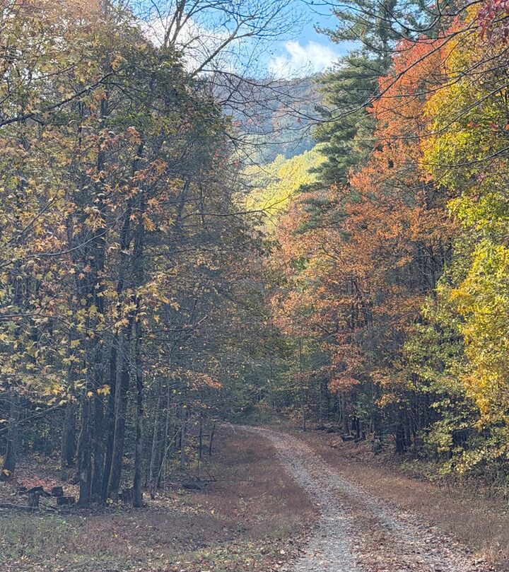 Property Photo:  46/51 Big Secret Ln  NC 28906 