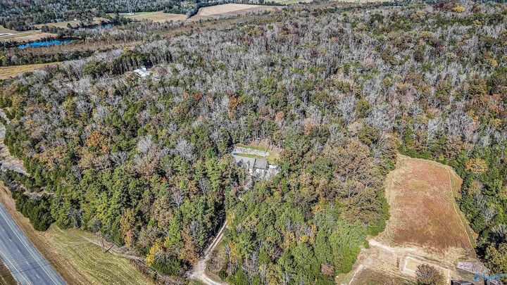 Property Photo: 16735 County Road 8 AL 35776