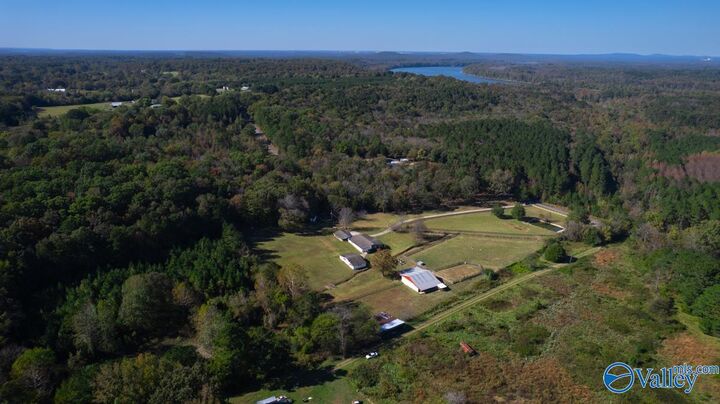 Property Photo: 357 Cabbage Patch Road AL 35775