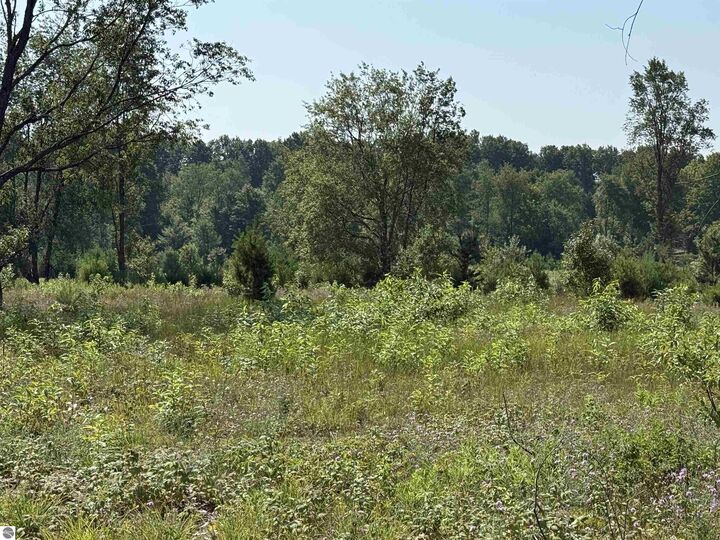 Property Photo: Parcel A8 S Bright Road MI 49664