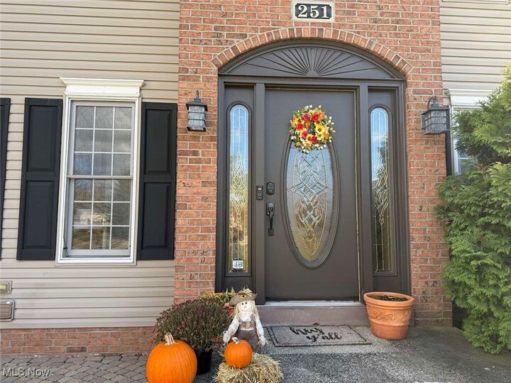 Property Photo:  251 Kingston Drive  OH 44202 
