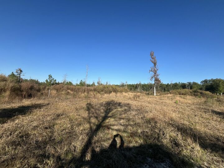 Property Photo:  Tbd Highway 112  LA 70634 