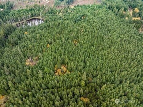 Property Photo: 0 Lake Helena Trail WA 98367