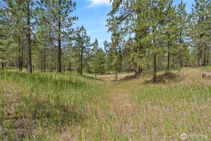 Property Photo: 5285 Hwy 231 D WA 99013