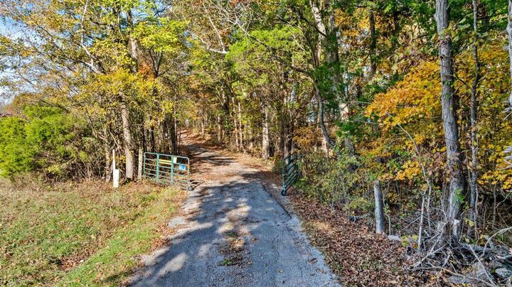 Property Photo:  159 Port Oliver Road  KY 42141 