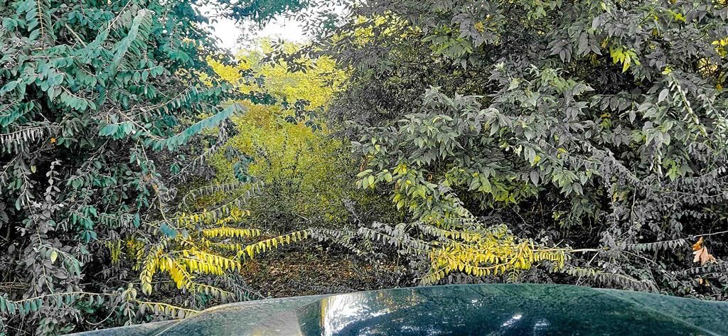 Property Photo:  2007 Delta Downs Drive  LA 70668 