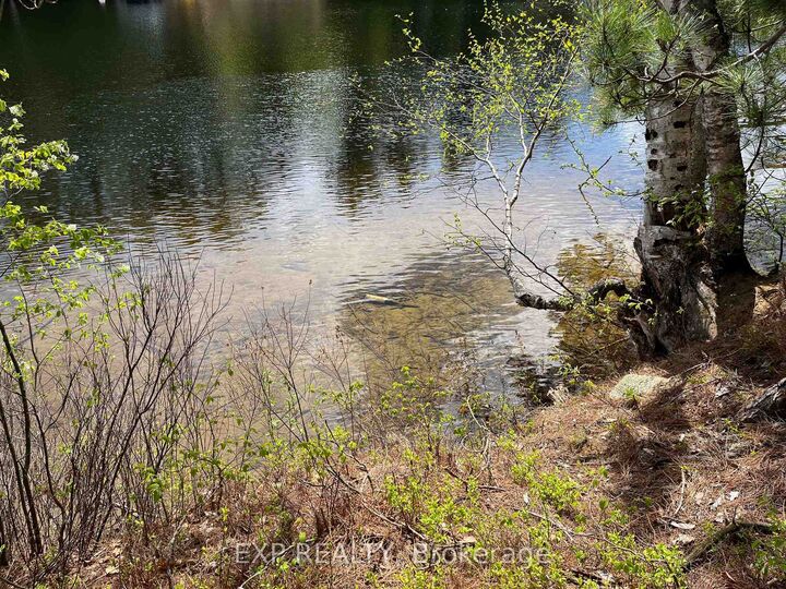 Property Photo:  Lot 37 Sandy Shores Trail  ON K0J 1B0 