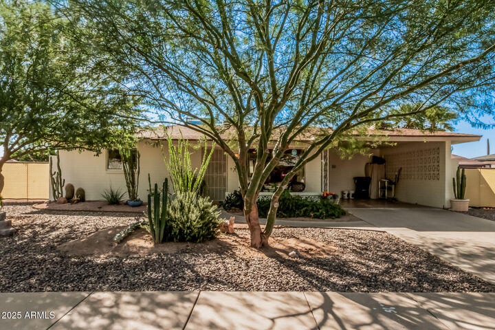 Property Photo: 6107 E Duncan Street AZ 85205