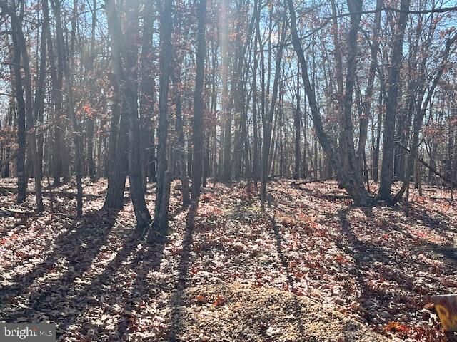 Property Photo:  0 Three Oaks Lane  VA 22637 