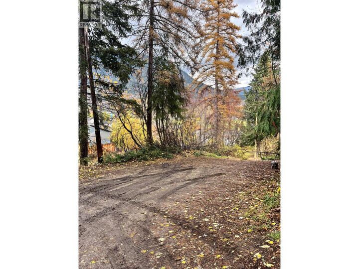 Property Photo: Lot B 9th Avenue BC V1N 1M4