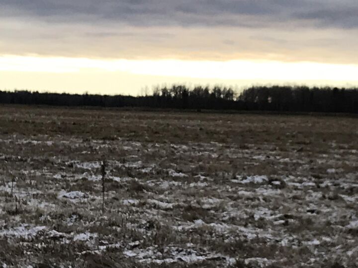 Property Photo: 000 W M-48 Hwy MI 49774