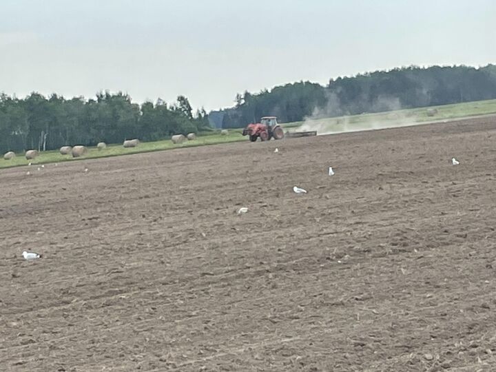 Property Photo:  000 W M-48 Hwy  MI 49774 