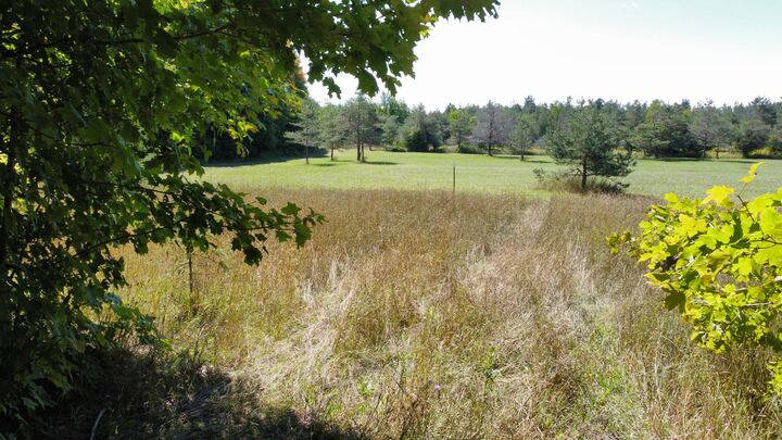 Property Photo:  Tbd N Webb Rd  MI 49745 