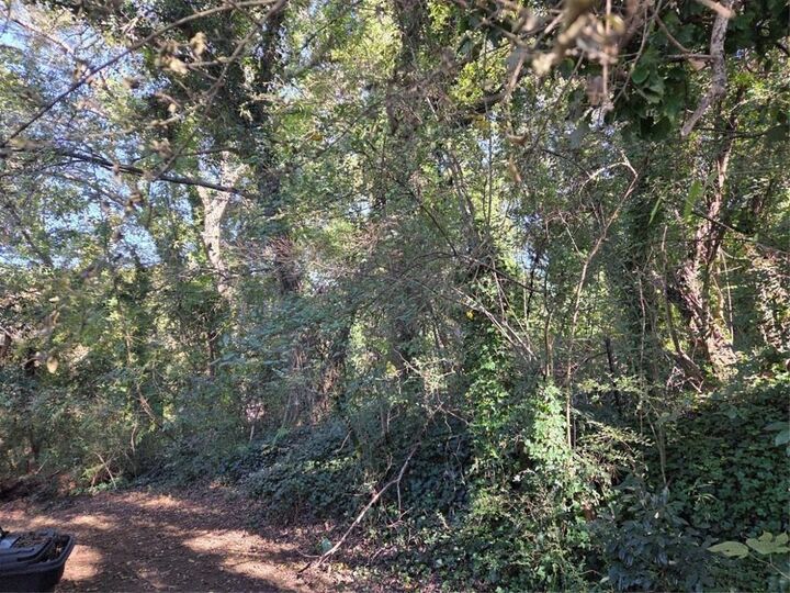 Property Photo: 104 Earl Lane GA 30161