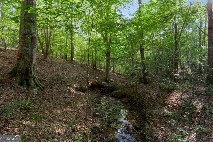 Property Photo: 1348 Barwick Hill Road GA 30629