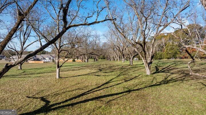 Property Photo:  105 Chinaberry Street  GA 31822 