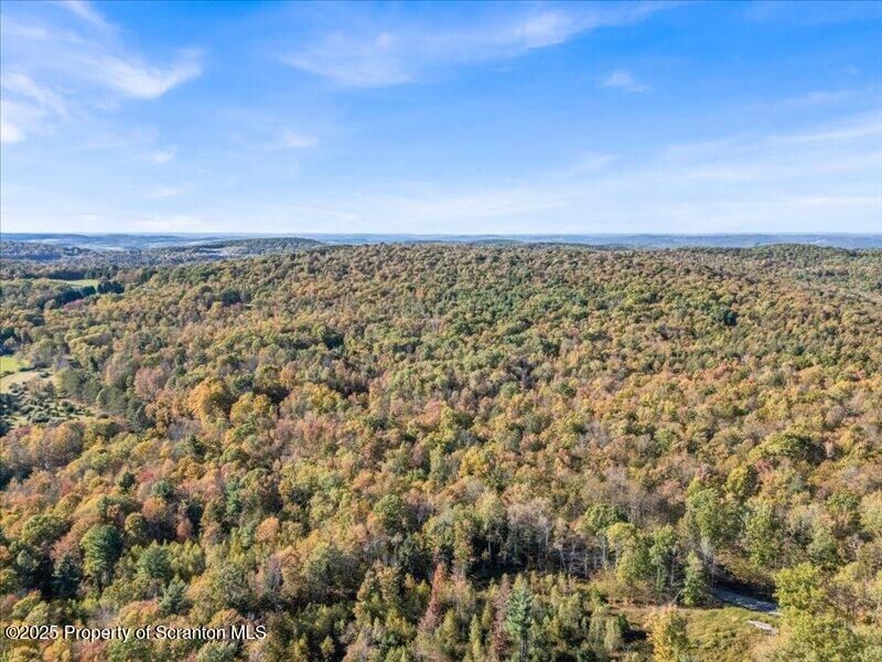 Property Photo:  1573 Cork Hill Road  PA 18812 