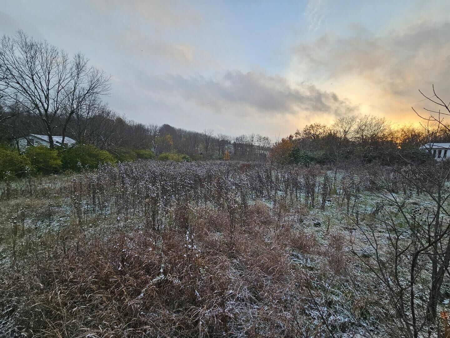 Property Photo:  000 Duncan Hill Road  KY 40422 