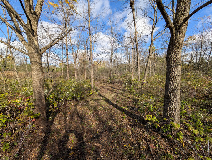 Property Photo:  Lt 2 W St. Martins Rd  WI 53132 