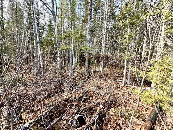 Property Photo:  14-2 Hemlock Drive  ME 04449 