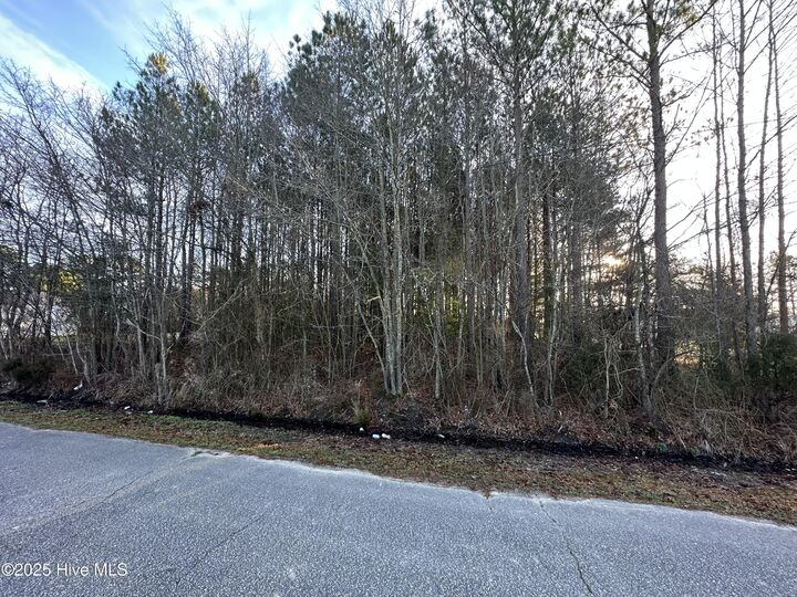 Property Photo:  Tbd Pine Street  NC 27820 