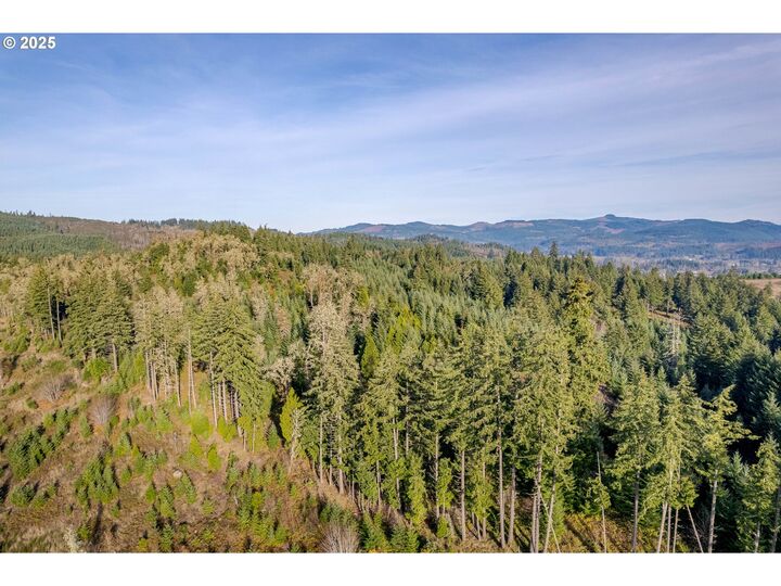 Property Photo:  Holly - Lot 2  OR 97424 
