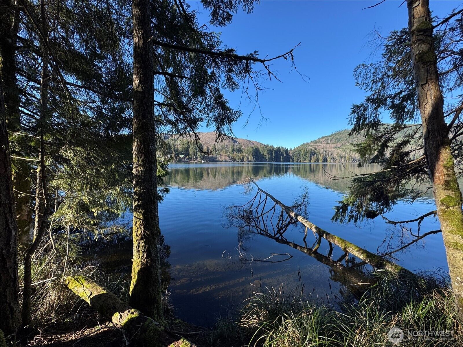 Property Photo: 0 Mineral Creek Road N WA 98355