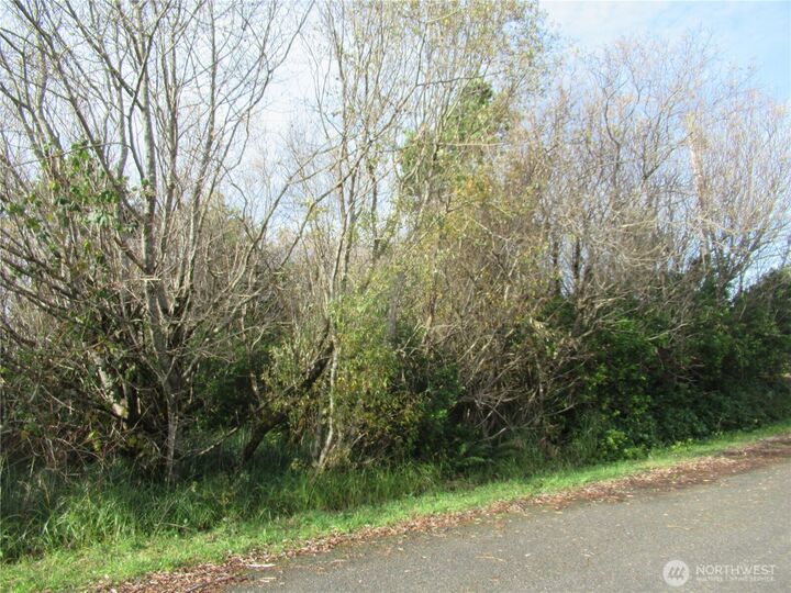 Property Photo: 12 Driftwood Drive WA 98569