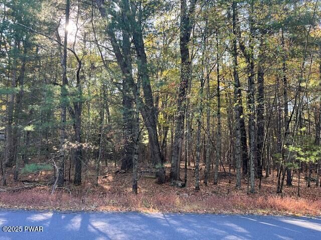 Property Photo: Lot 40 Lake Forest Drive PA 18328