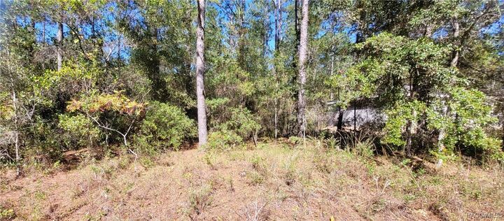 Property Photo:  1837 W Water Lily Drive  FL 34434 