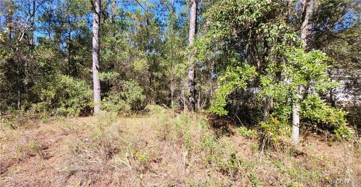 Property Photo: 1837 W Water Lily Drive FL 34434