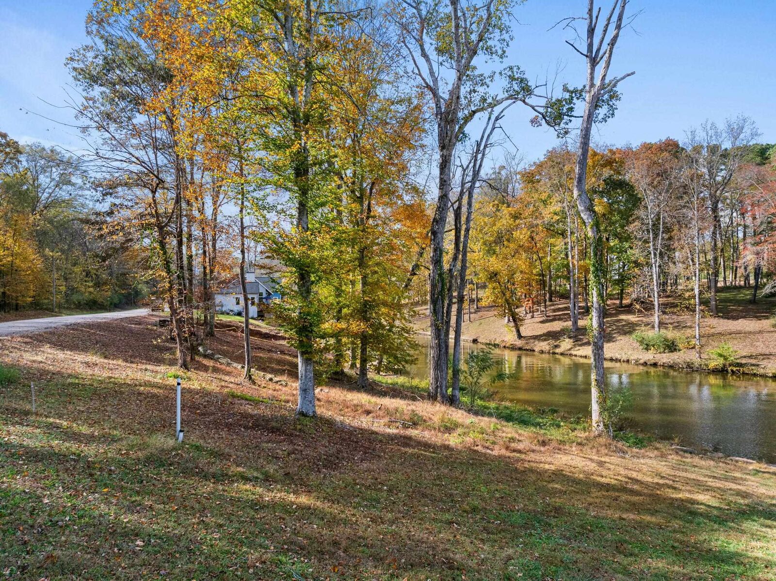 Property Photo:  1584 Shore Dr  AL 35634 - FLORENCE 