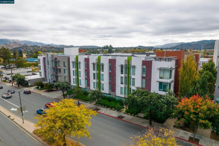 Property Photo:  555 Ygnacio Valley Rd 204  CA 94596 