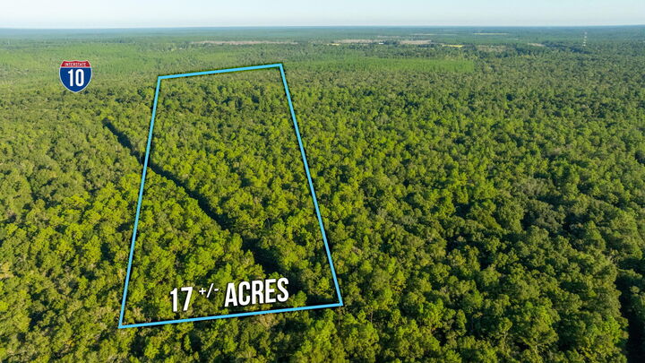 17 Acres Lyons Place  Holt FL 32564 photo