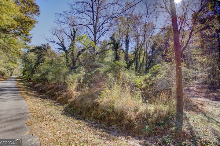 Property Photo: 0 W Richardson GA 30054