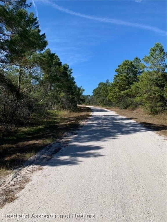 Property Photo:  1224 Cockatoo Avenue  FL 33852 