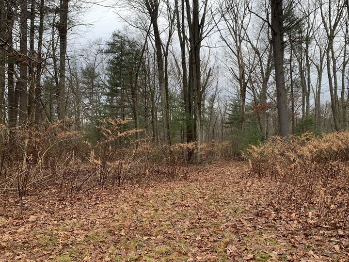 Property Photo: 767 Stony Hill Rd MA 01095