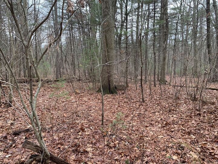 Property Photo:  767 Stony Hill Rd  MA 01095 