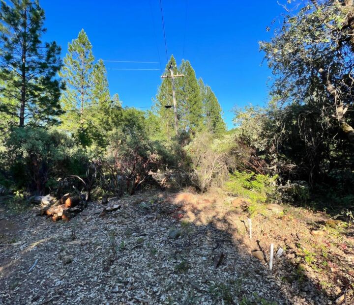 Property Photo:  8571 Daken Circle  CA 95919 