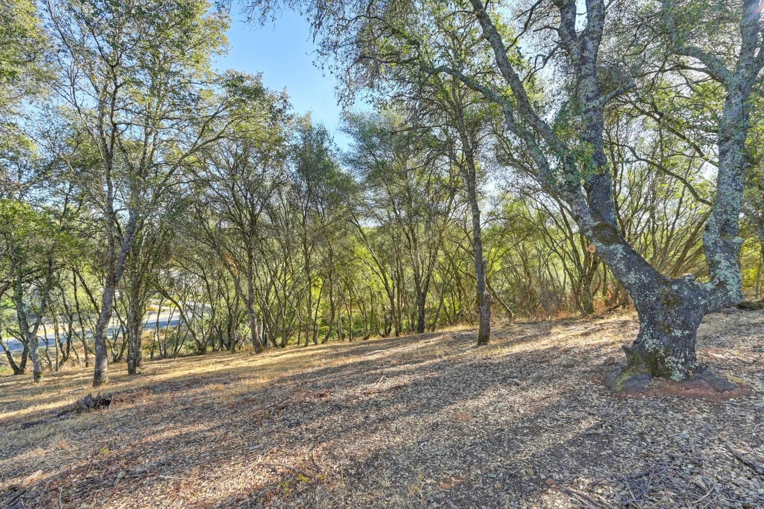 Property Photo: 6084 Western Sierra Way CA 95762