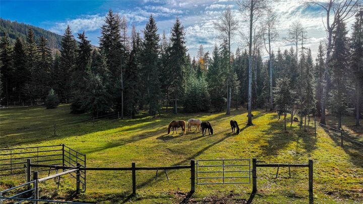 Property Photo:  2503 Wild Bill Road  MT 59920 