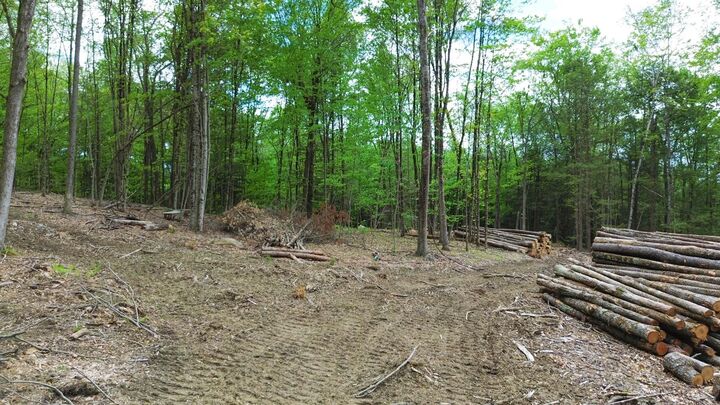Property Photo:  Lot 26-1 Plain Road  NH 03451 
