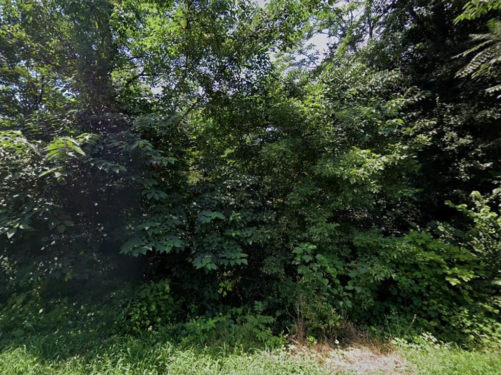 Property Photo:  Spencer Place  VA 24504 